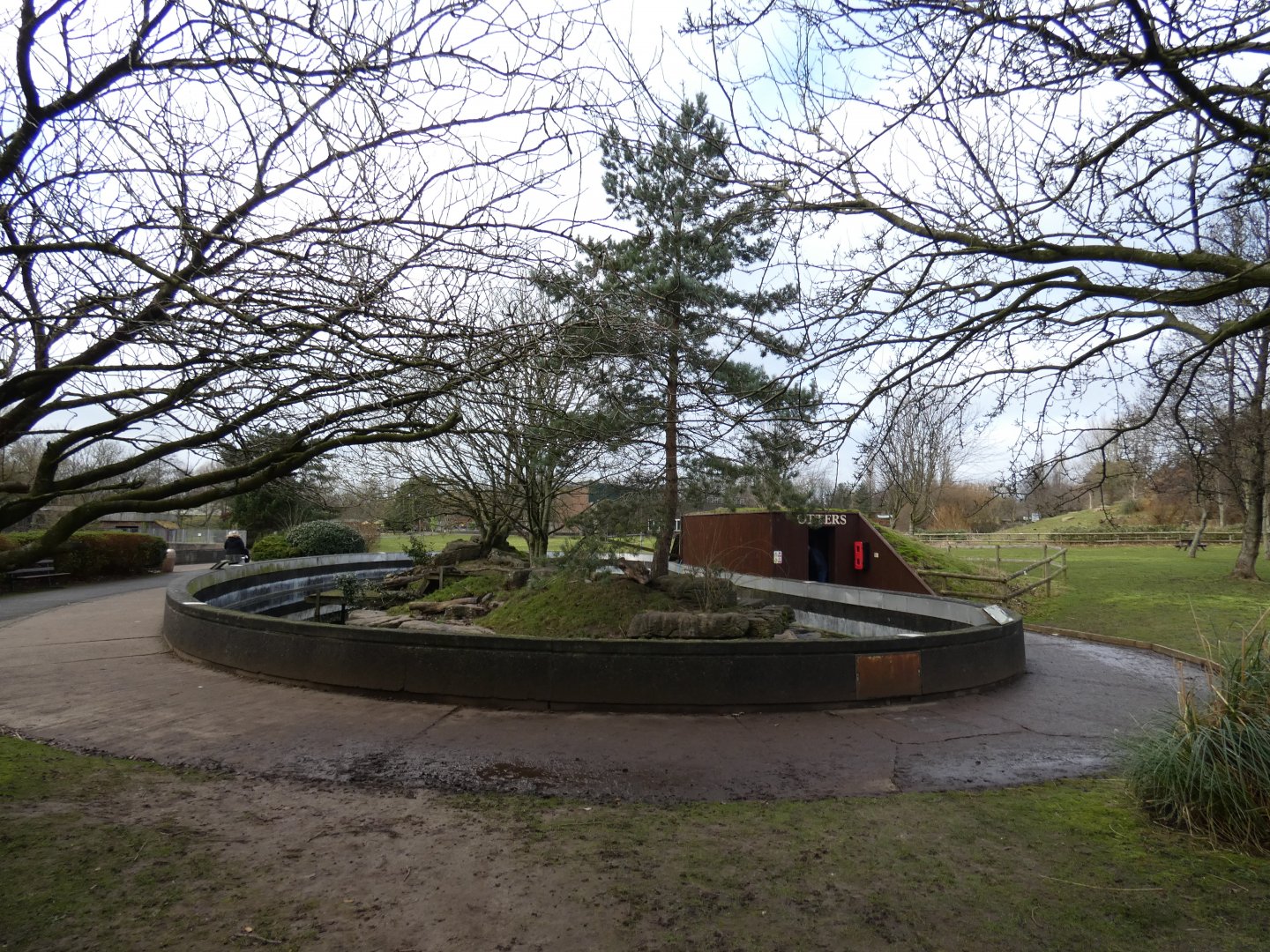 Asian short clawed otter enclosure