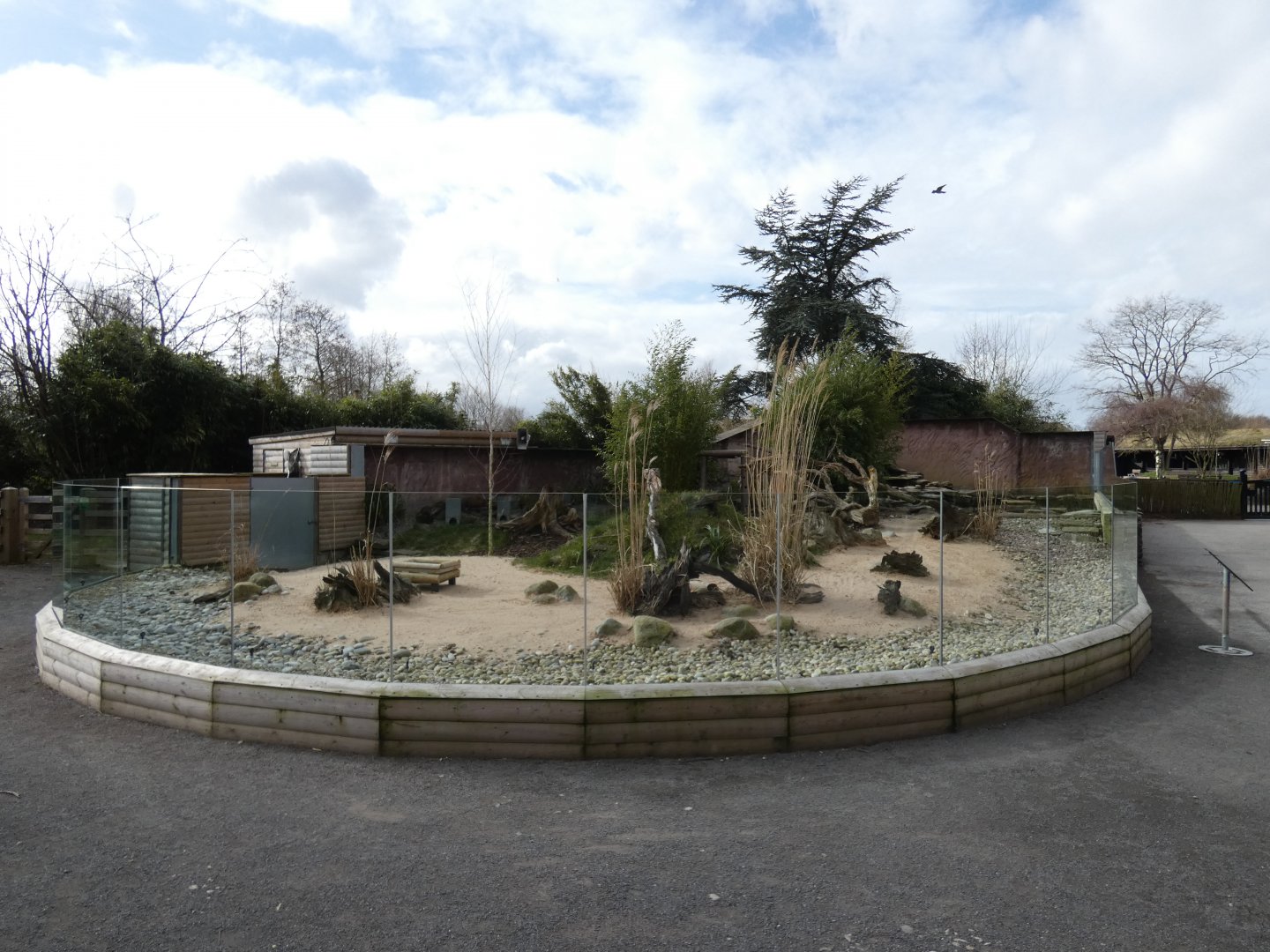 Asian short-clawed otter enclosure