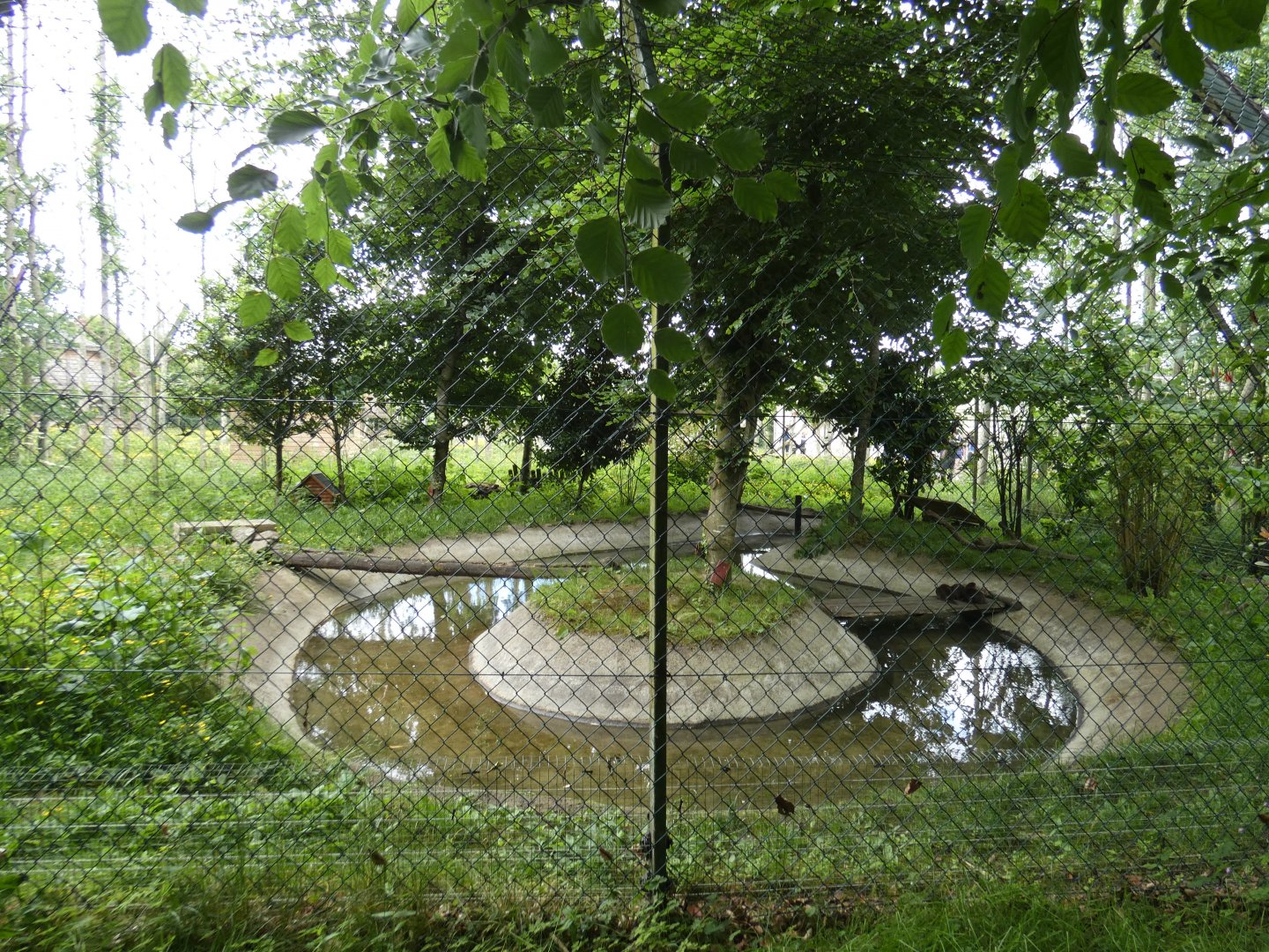 Asian short-clawed otter enclosure