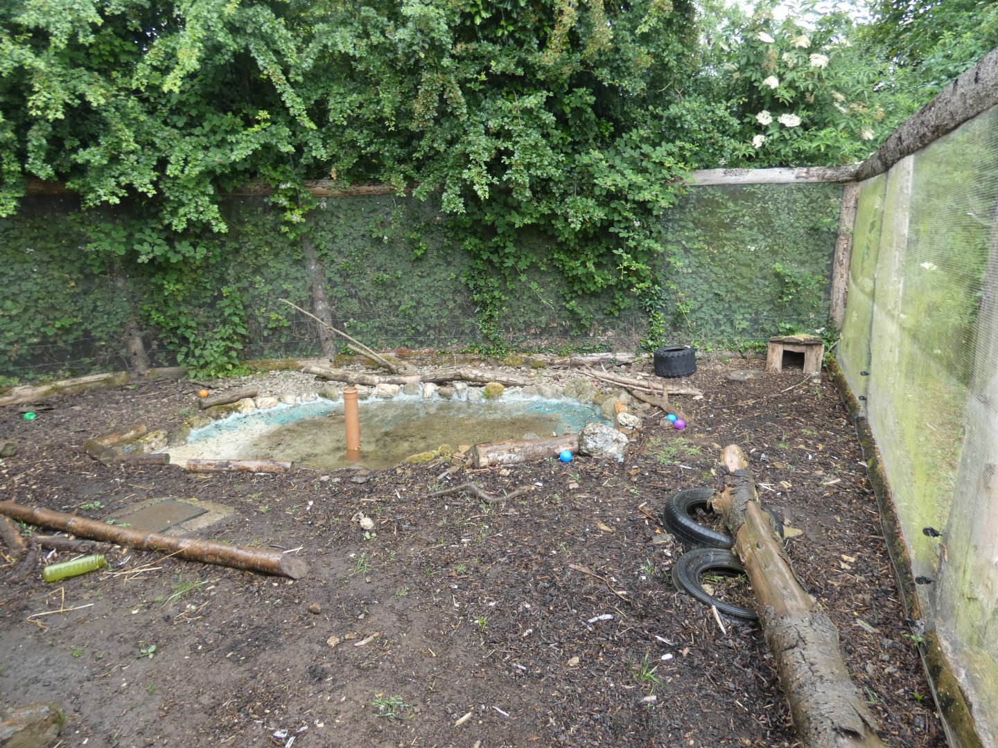 Asian short-clawed otter enclosure