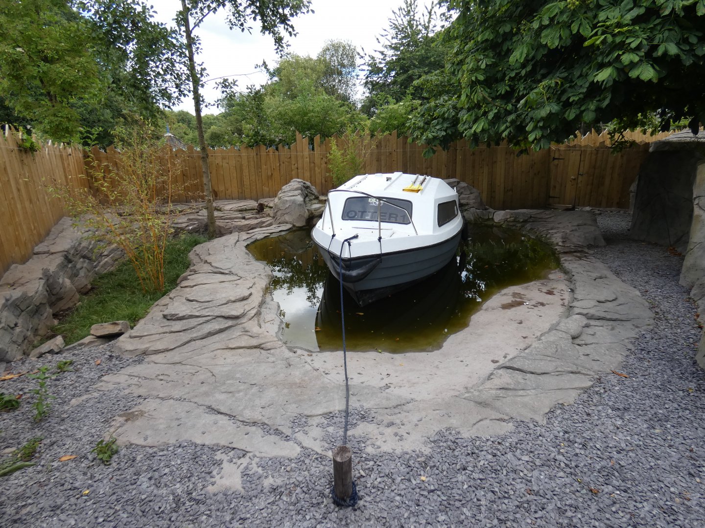 Asian short-clawed otter enclosure