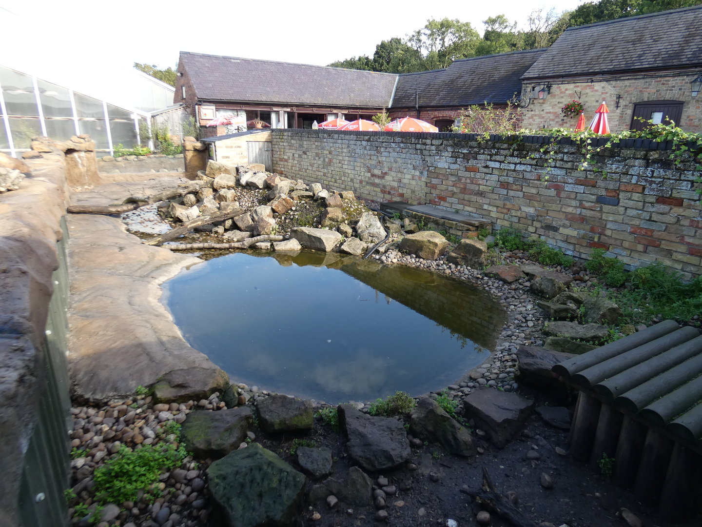 Asian short-clawed otter enclosure