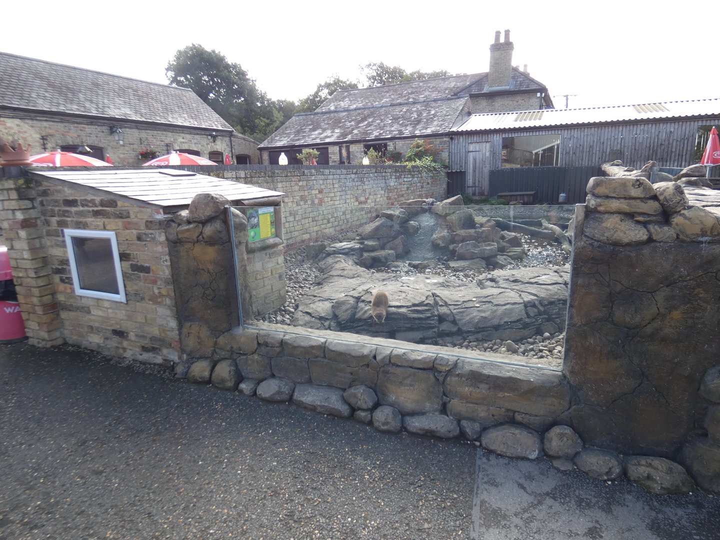 Asian short-clawed otter enclosure