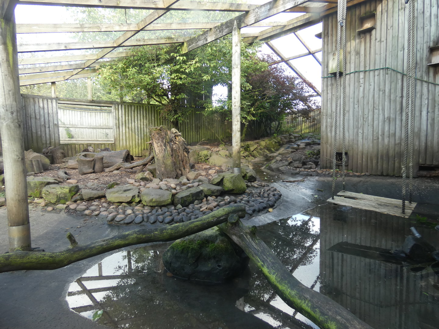 Asian short-clawed otter enclosure