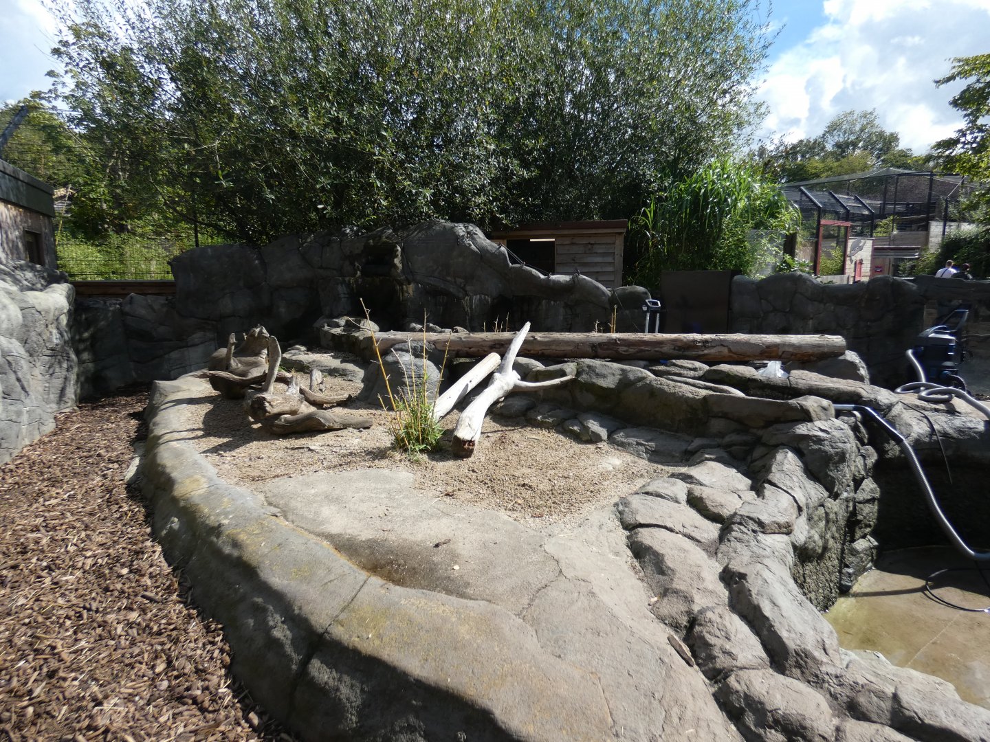 Asian short-clawed otter enclosure