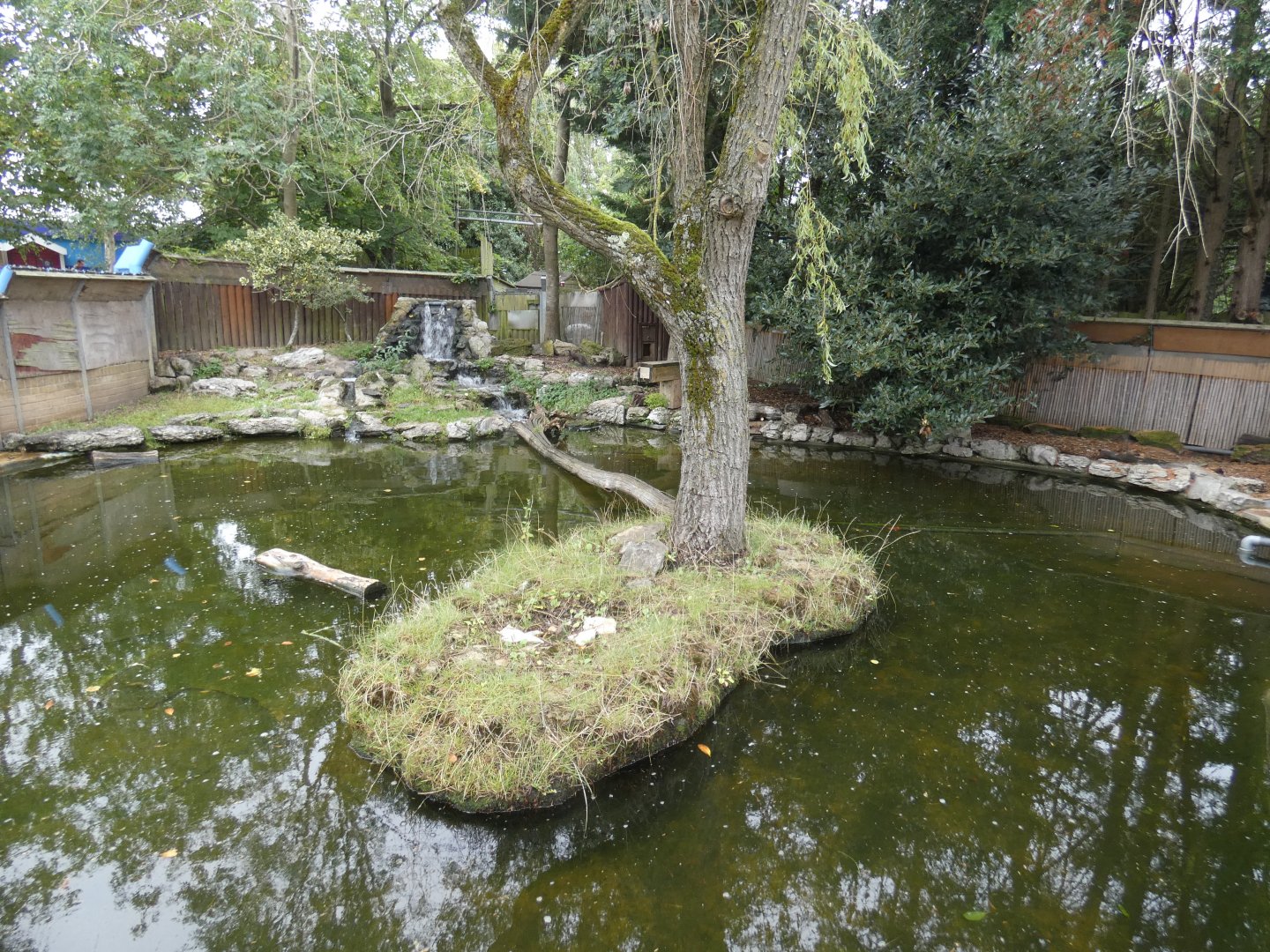 Asian short-clawed otter enclosure