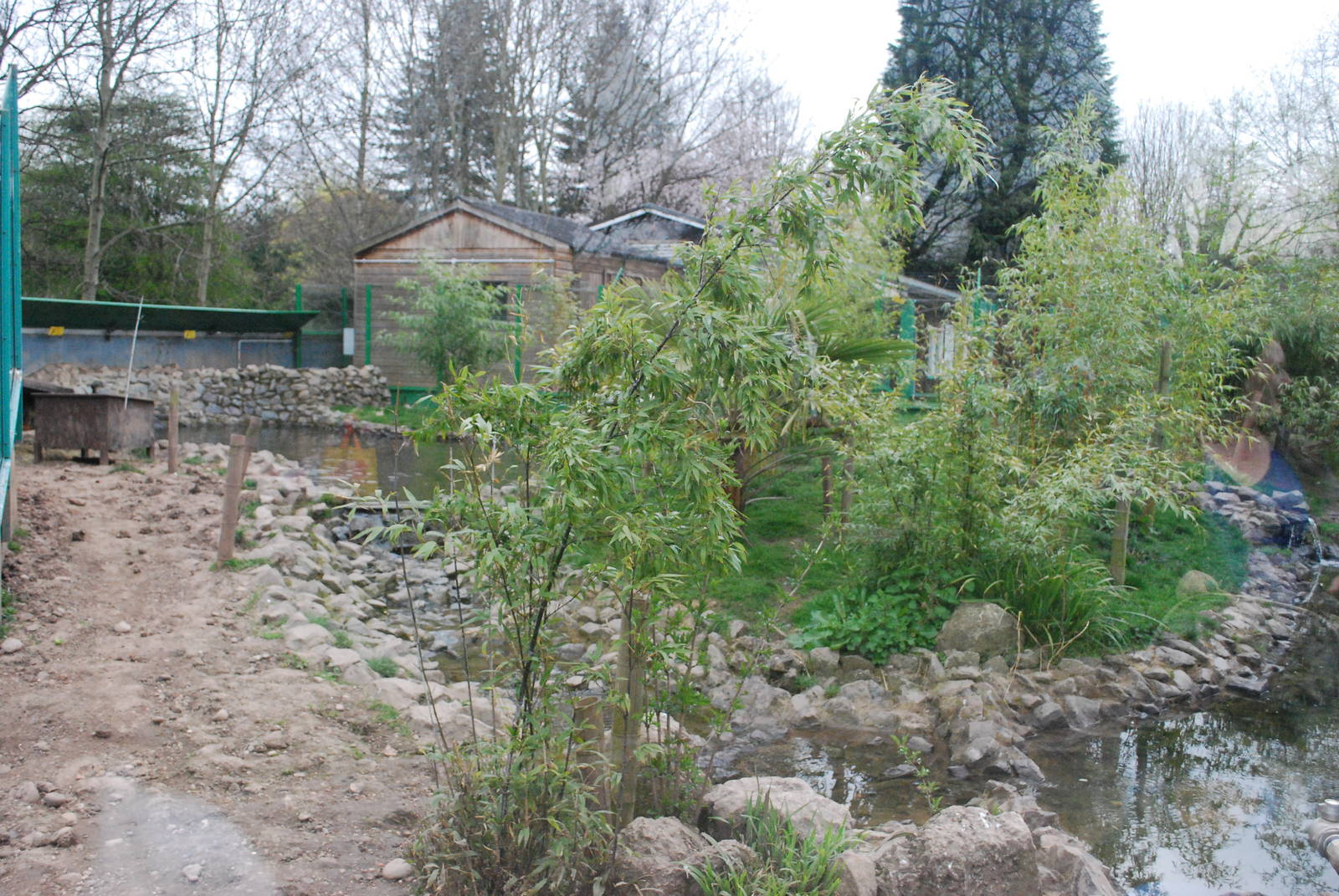 ASIAN SHORT CLAWED OTTER ENCLOSURE