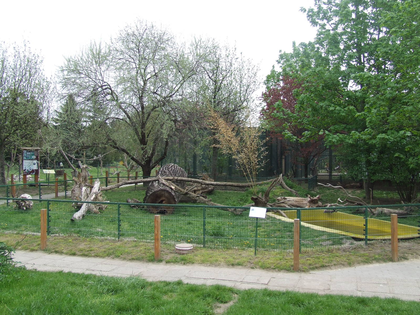 Asian Short-clawed Otter enclosure