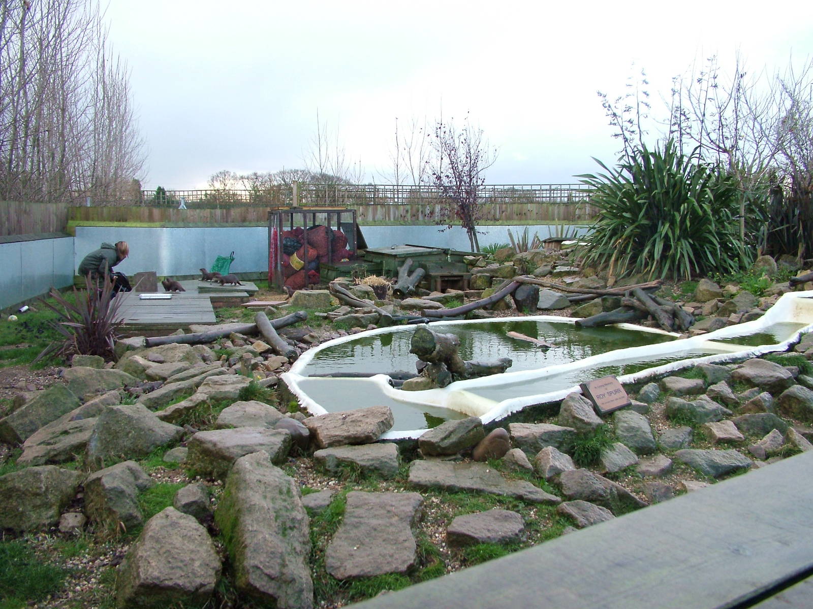 Asian Short-clawed Otter exhibit at Tropical Wings 29/11/09