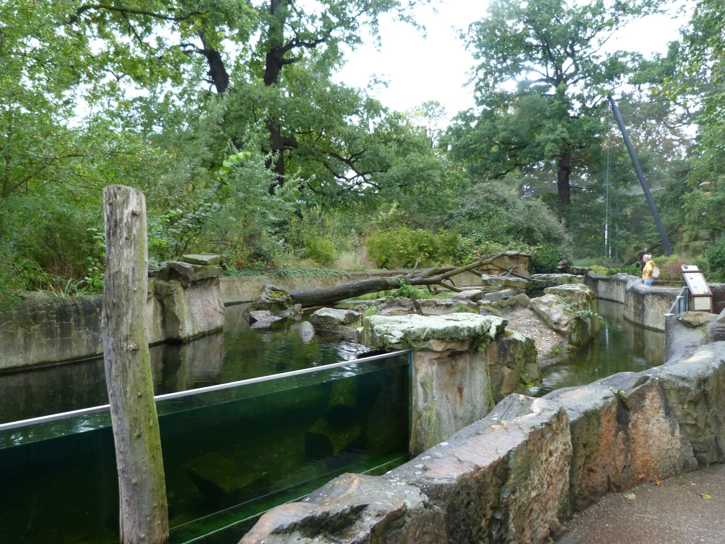 Asian short-clawed otter exhibit -Zoologischer Garten Berlin (2024)