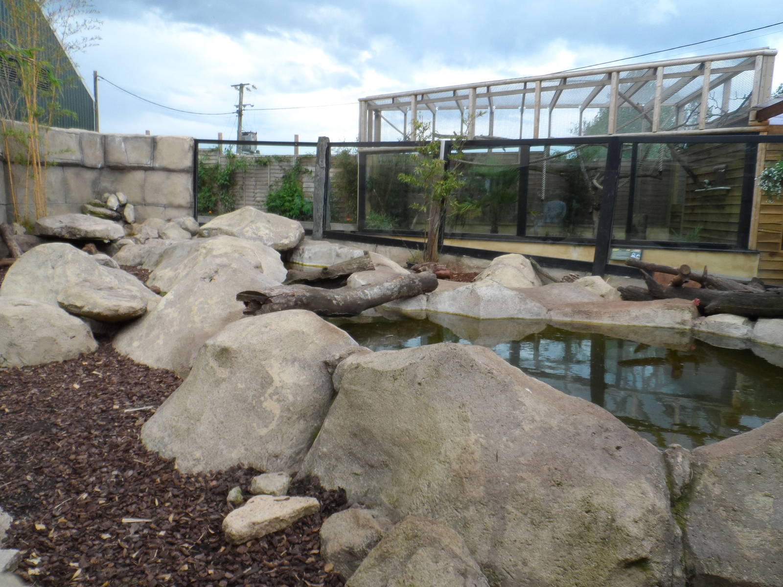 Asian Short-clawed Otter Exhibit