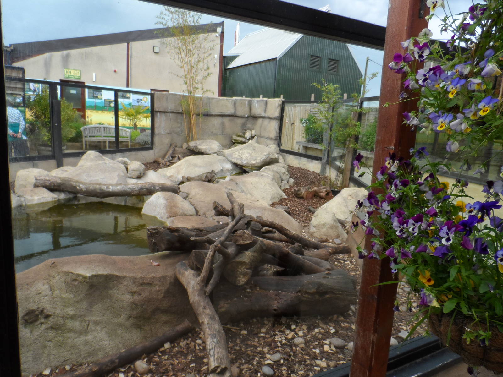 Asian Short-clawed Otter Exhibit