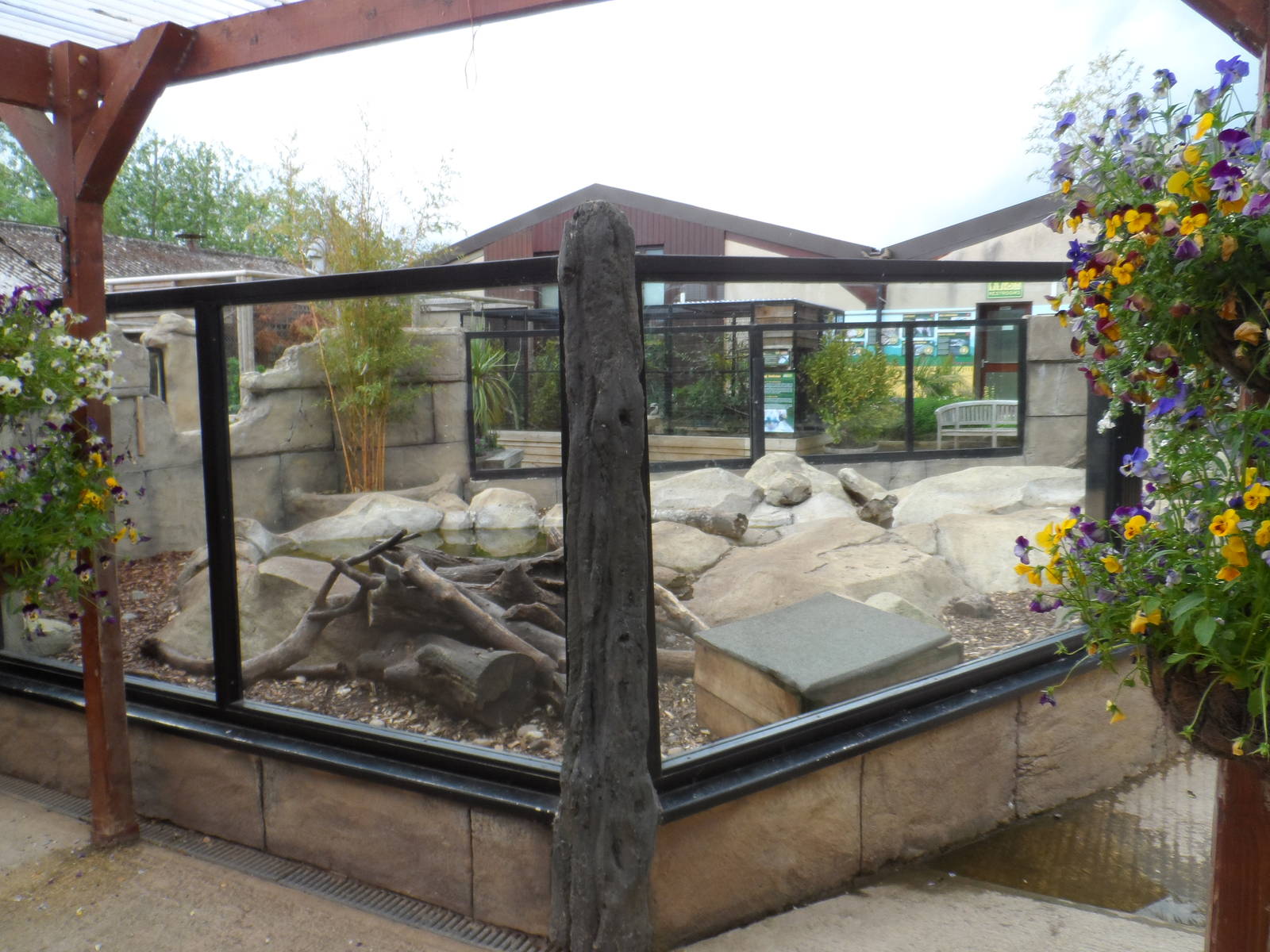 Asian Short-clawed Otter Exhibit