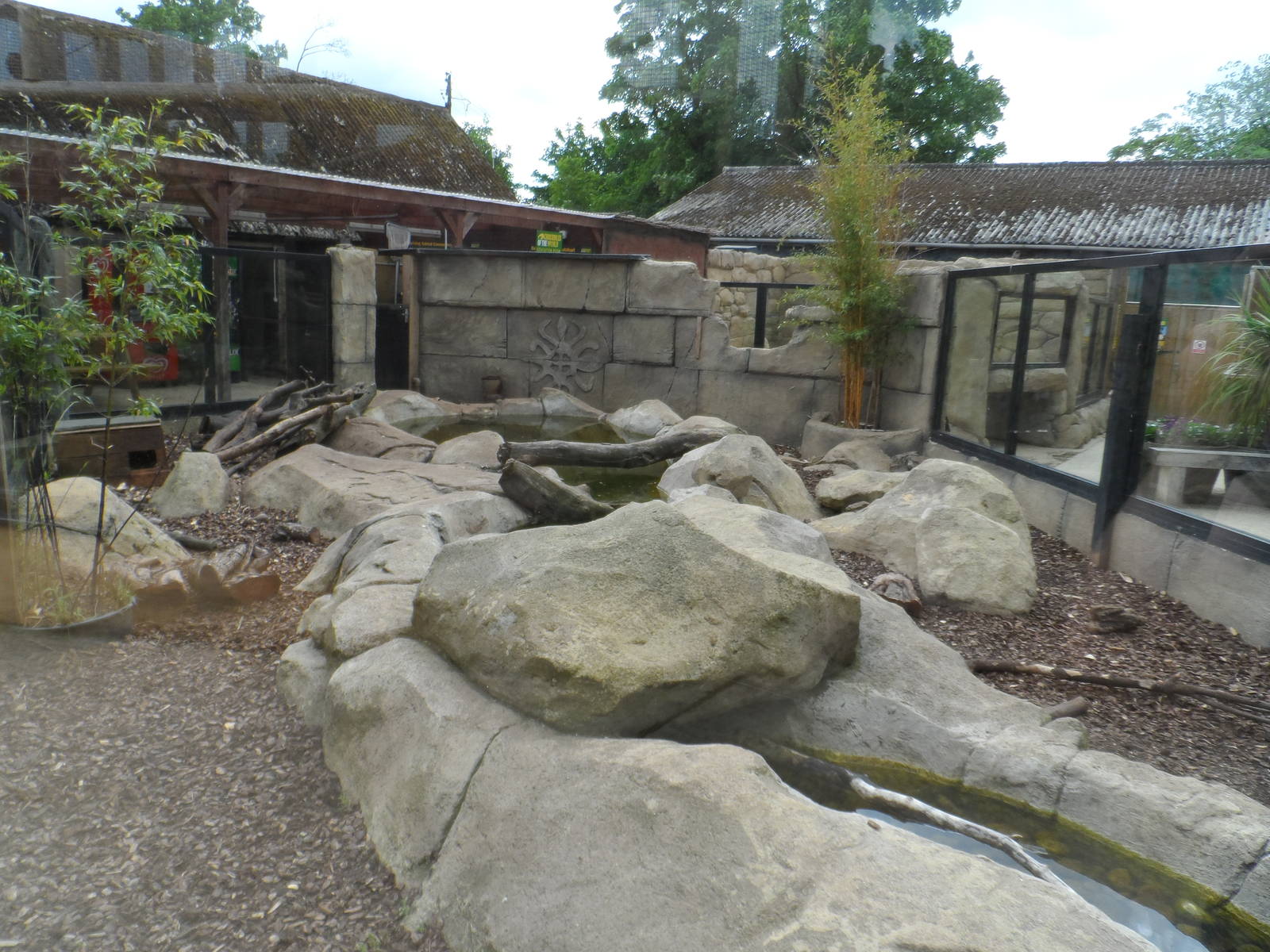 Asian Short-clawed Otter Exhibit