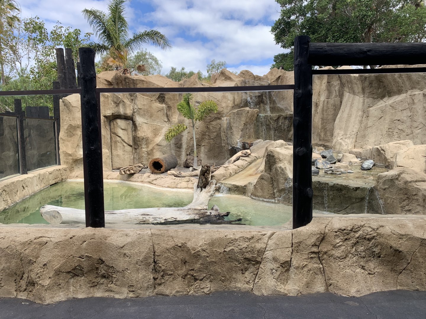 Asian Short Clawed Otter Exhibit