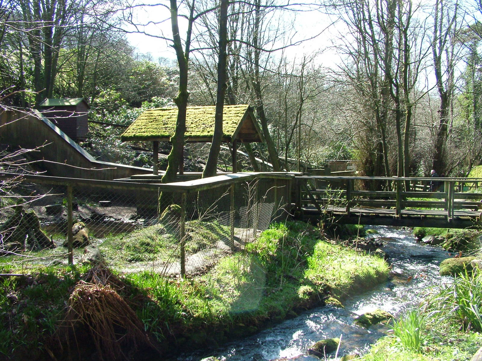 Asian Short-clawed Otter exhibits at the Chestnut Centre, March 09
