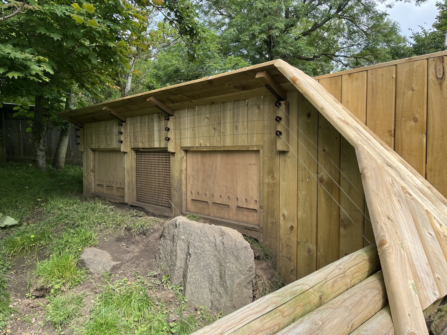 Asian short clawed otter experience 19.7.24