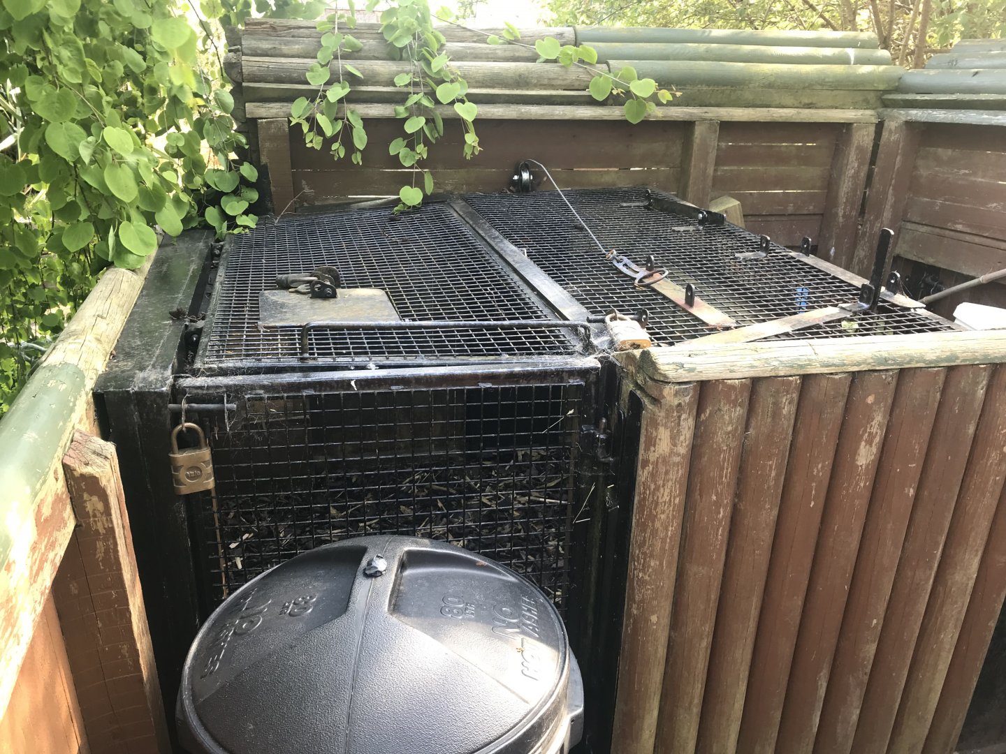 Asian short clawed otter holding area