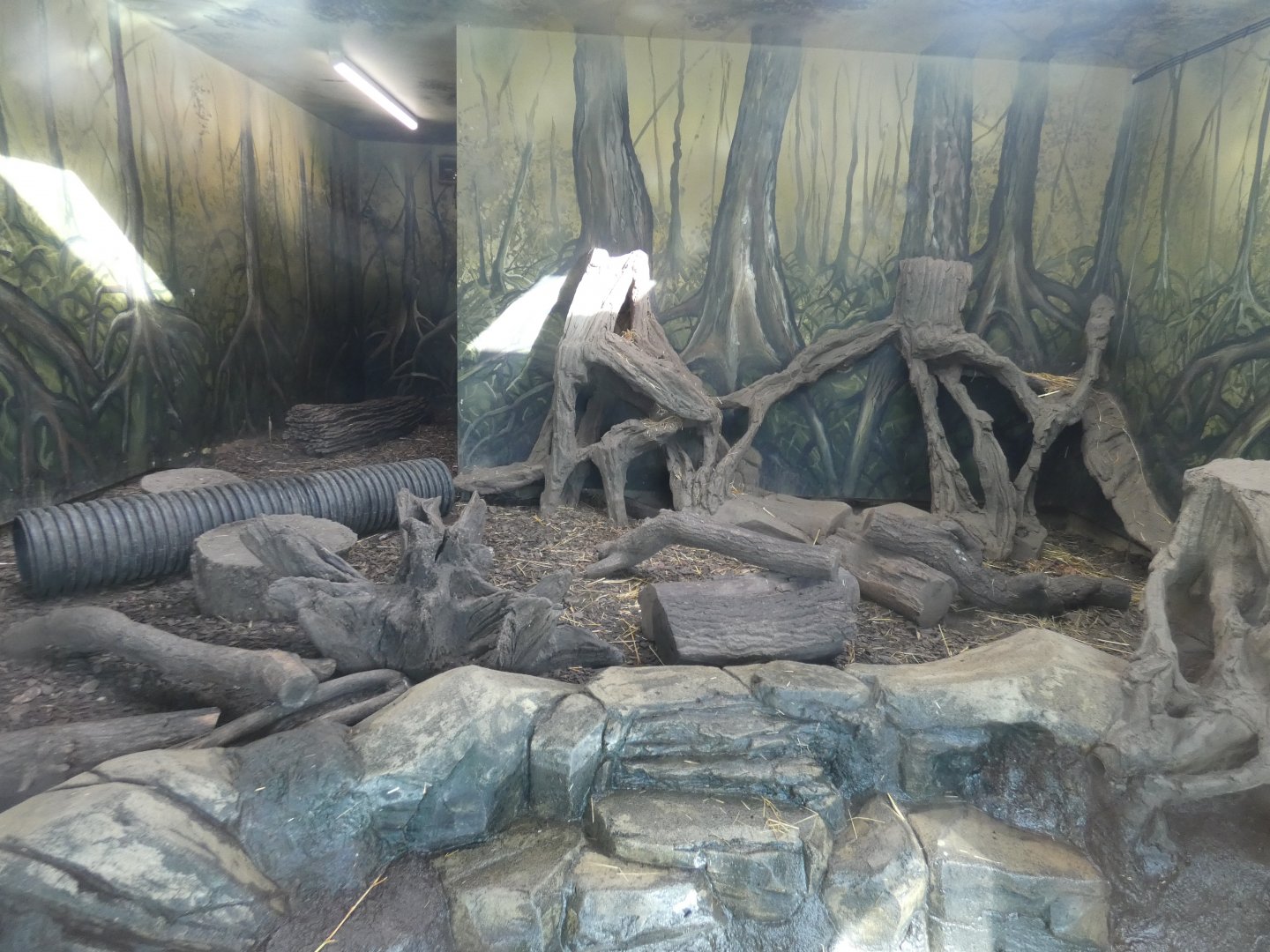 Asian short-clawed otter indoor enclosure