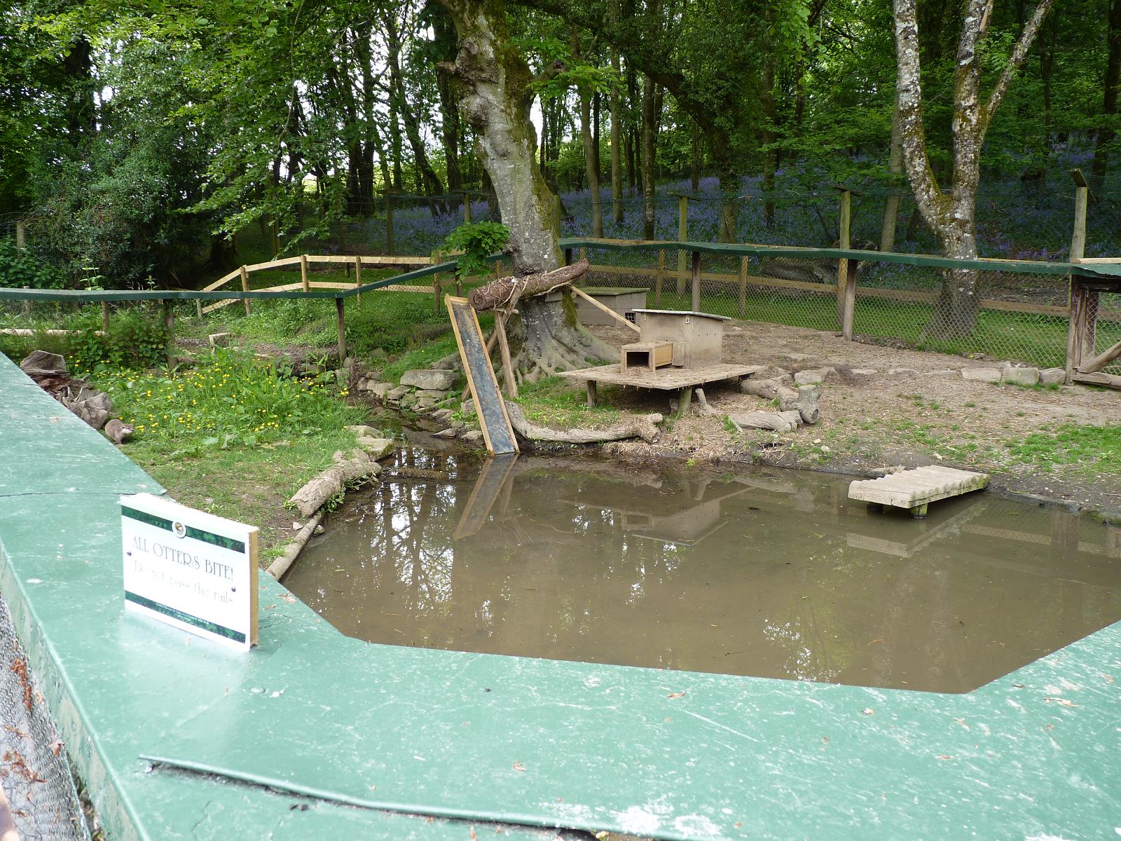 Asian Short-Clawed Otter Pen