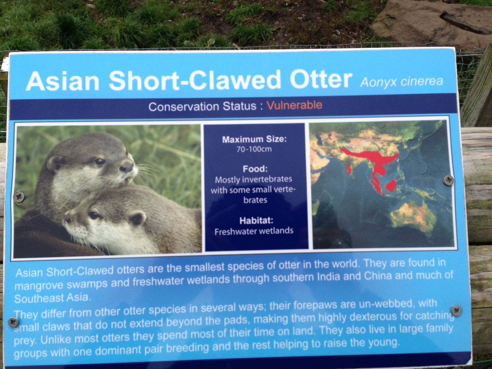 Asian Short-clawed Otter Signage at Blue Planet Aquarium - 05/10/2013