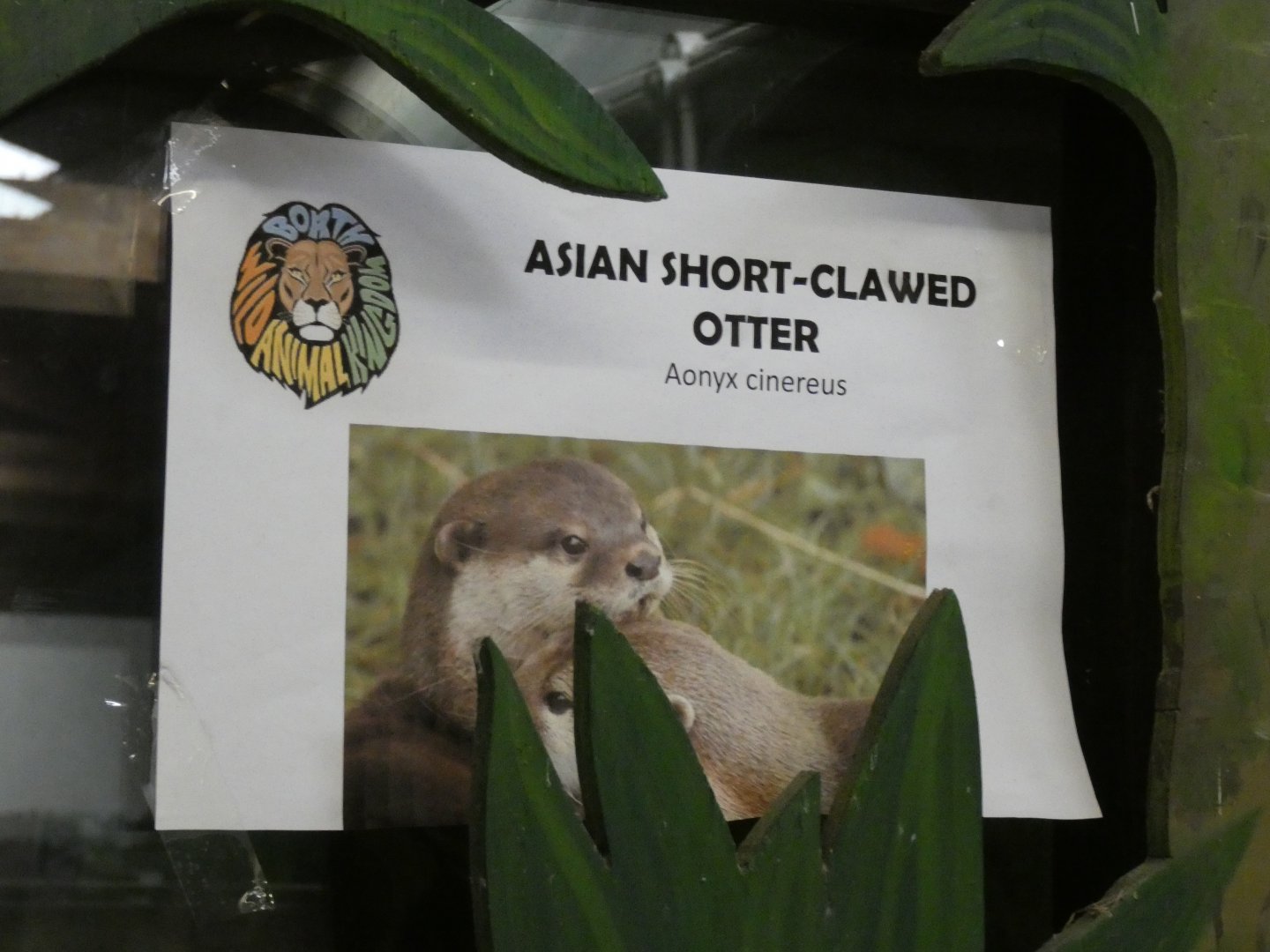 Asian Short-clawed Otter Signage
