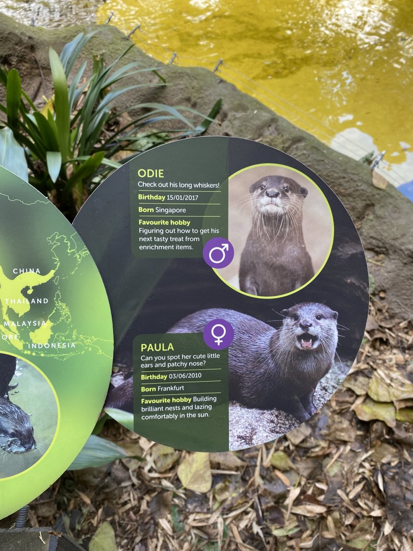 Asian Short Clawed Otter Signage