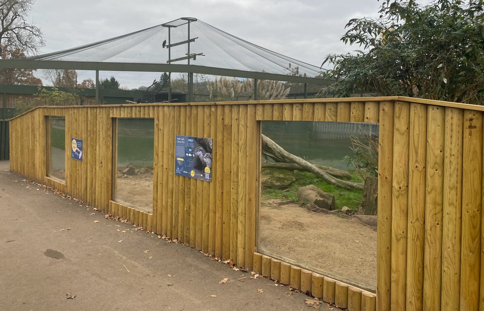 Asian short clawed otters, updated enclosure frontage, Beale Park, UK