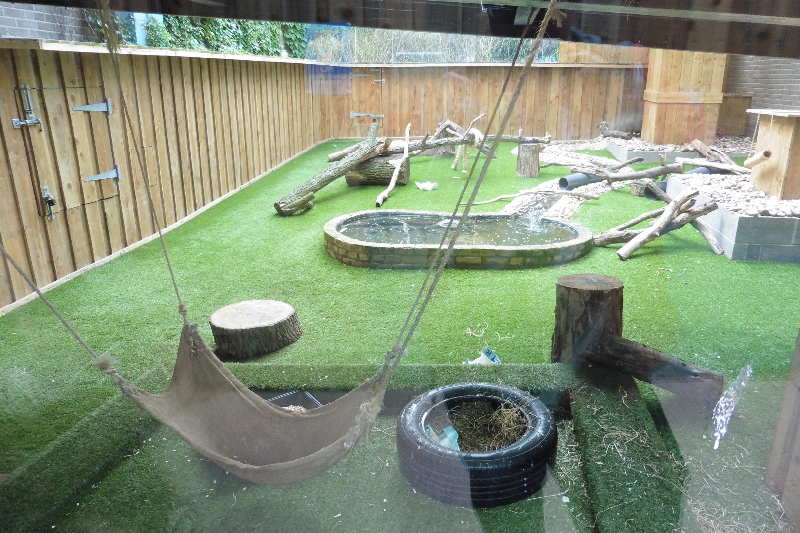 Asian Short-clawed Otters