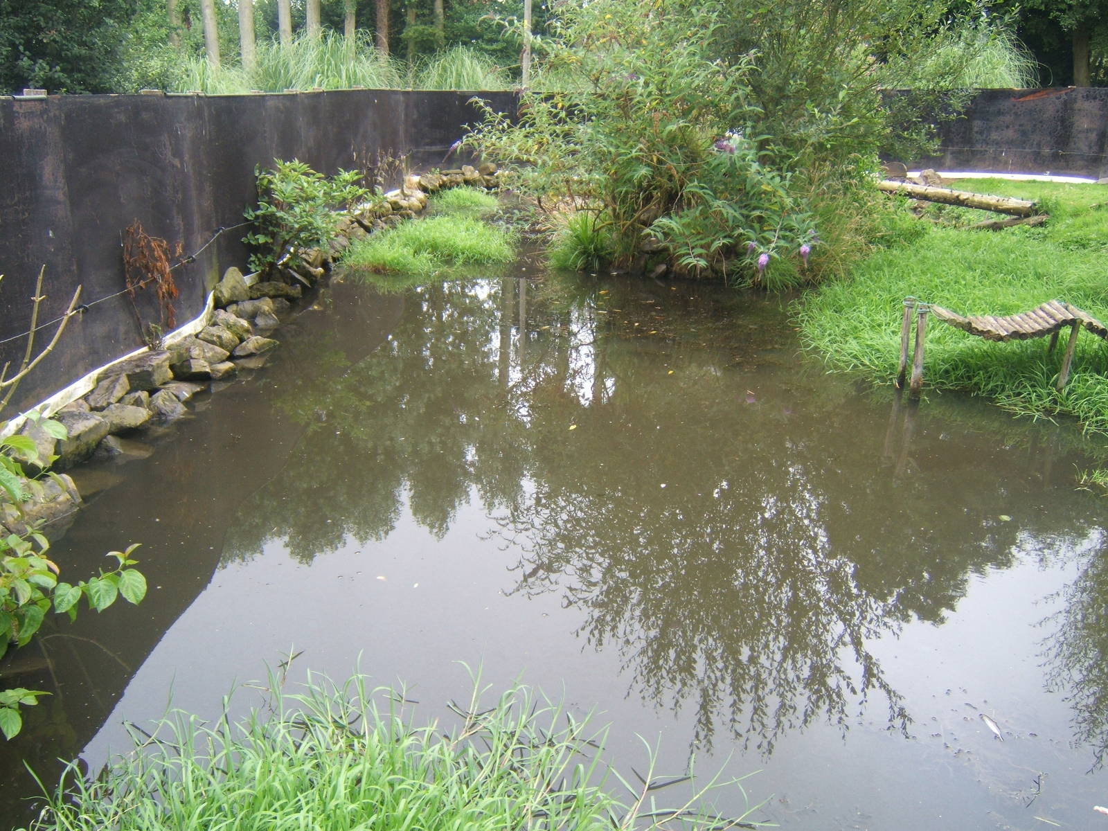 Asian Short-clawed Ottter enclosure