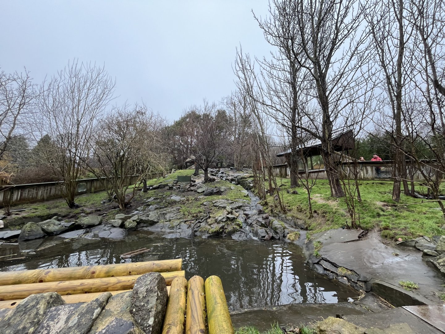 Asian short-clwaed otter enclosure (0.5 zoom) 10.2.24