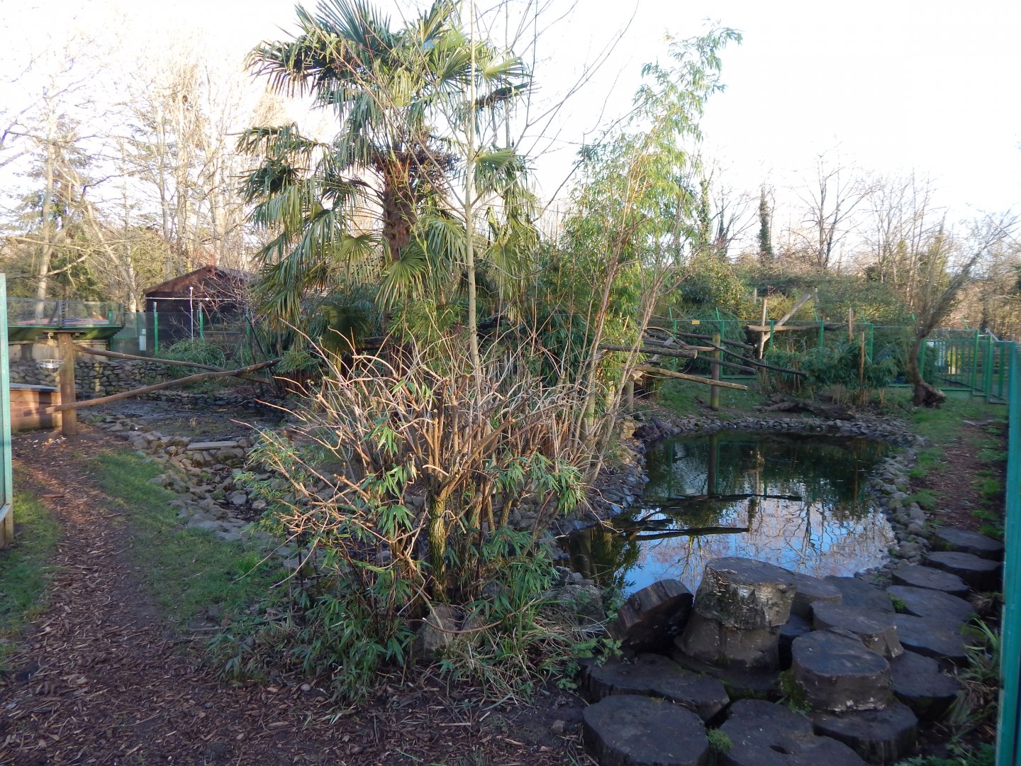 Asian small-clawed otter and Binturong enclosure 260124