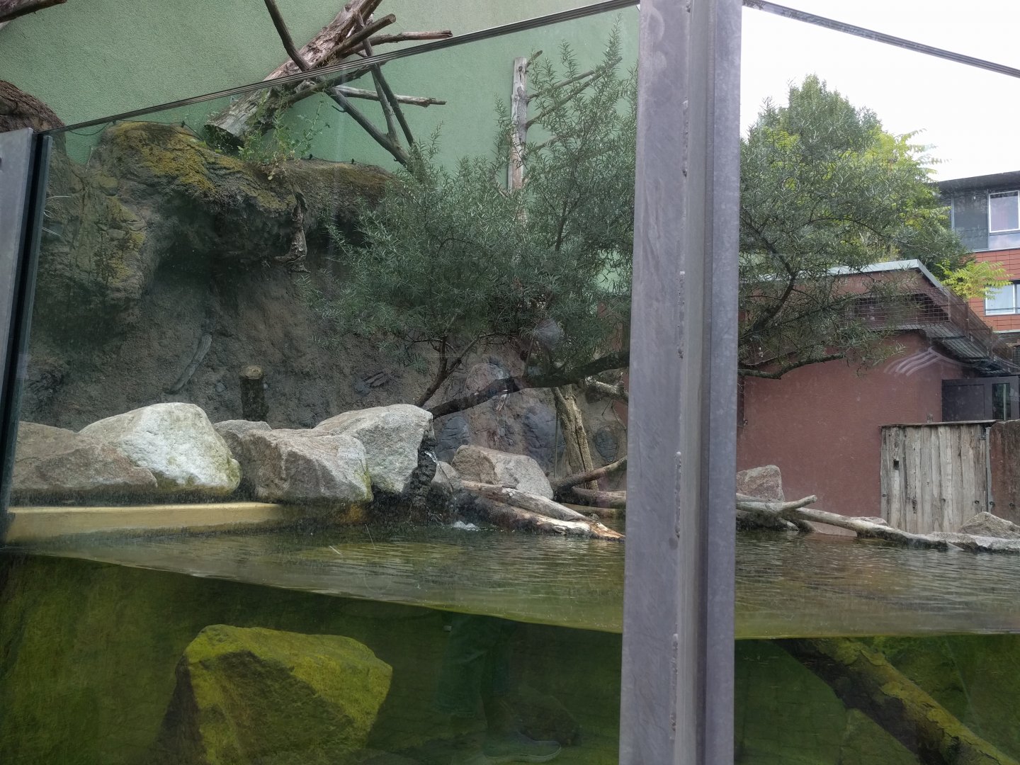 Asian small clawed Otter and Binturong Enclosure