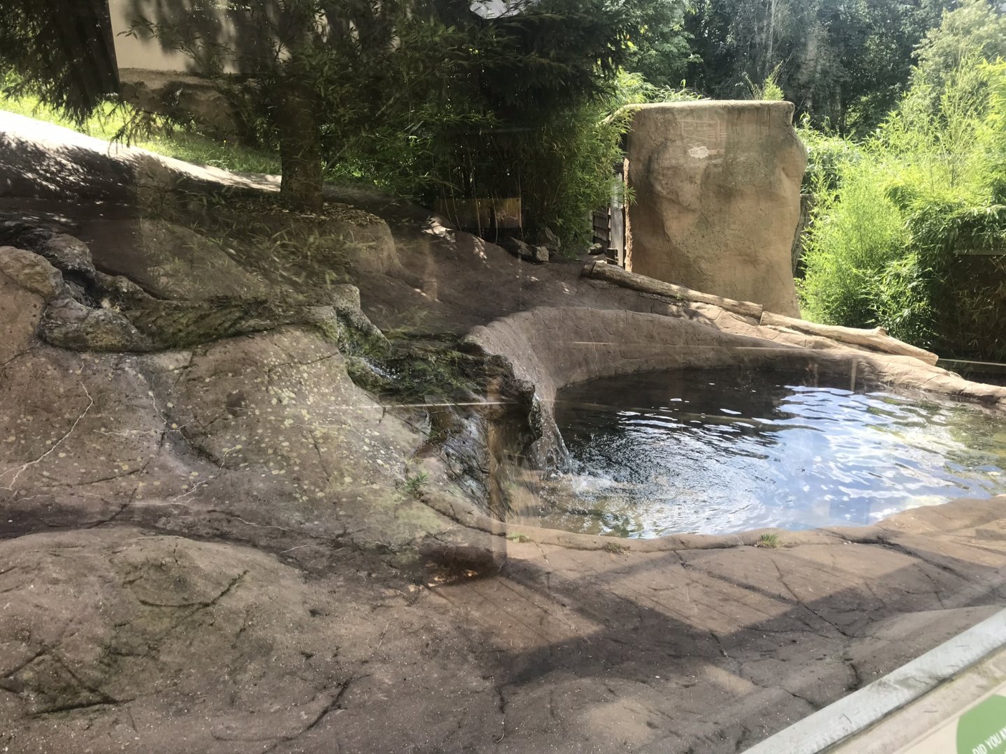 Asian small-clawed otter and Binturong exhibit 050819
