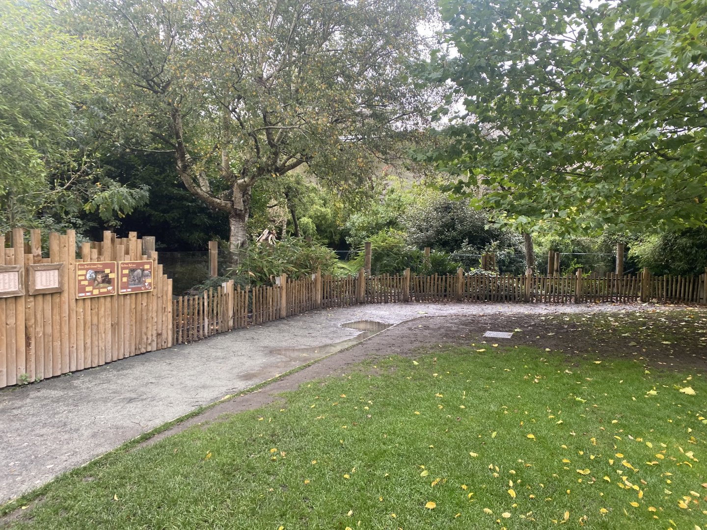Asian small-clawed otter and Sulawesi babirusa exhibit 191021