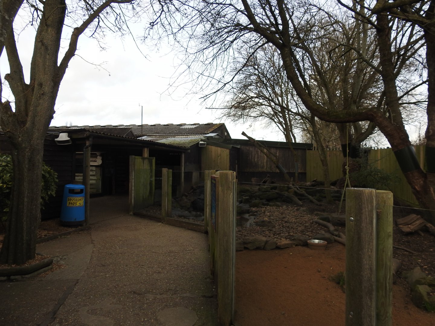 Asian Small-Clawed Otter (Aonyx cinereus) Enclosure 3