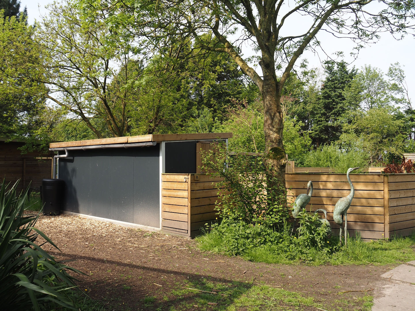 Asian small-clawed otter barn, 2024-05-11