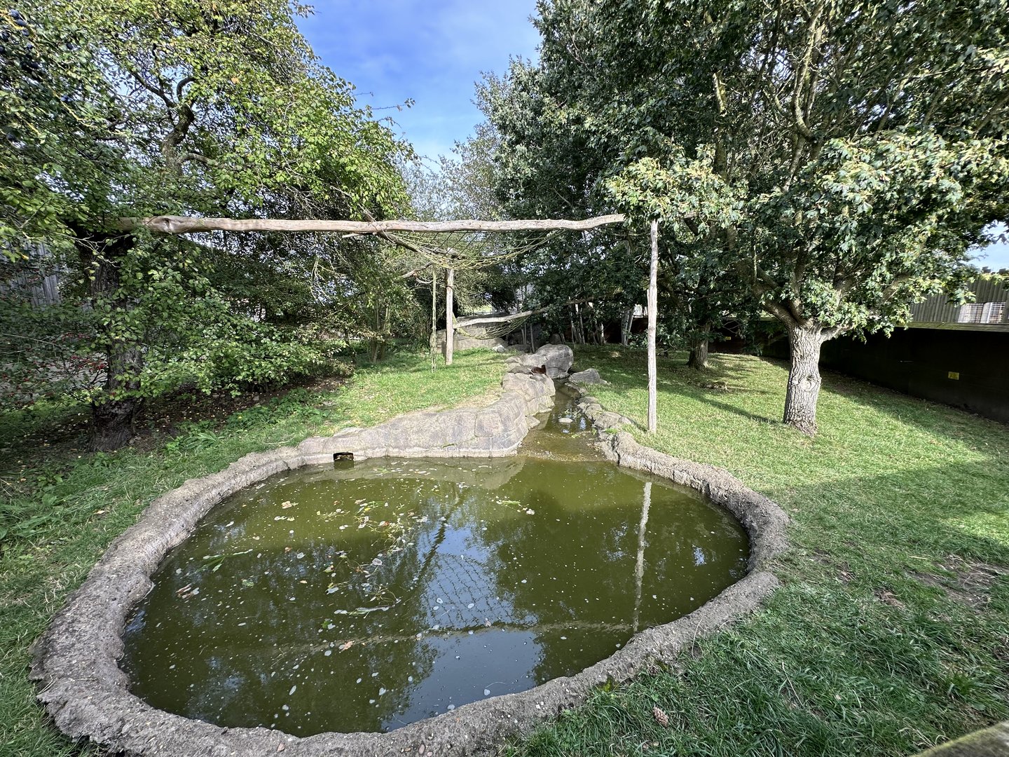 Asian Small-clawed Otter / Binturong Enclosure at Hamerton Zoo Park (October 2023)