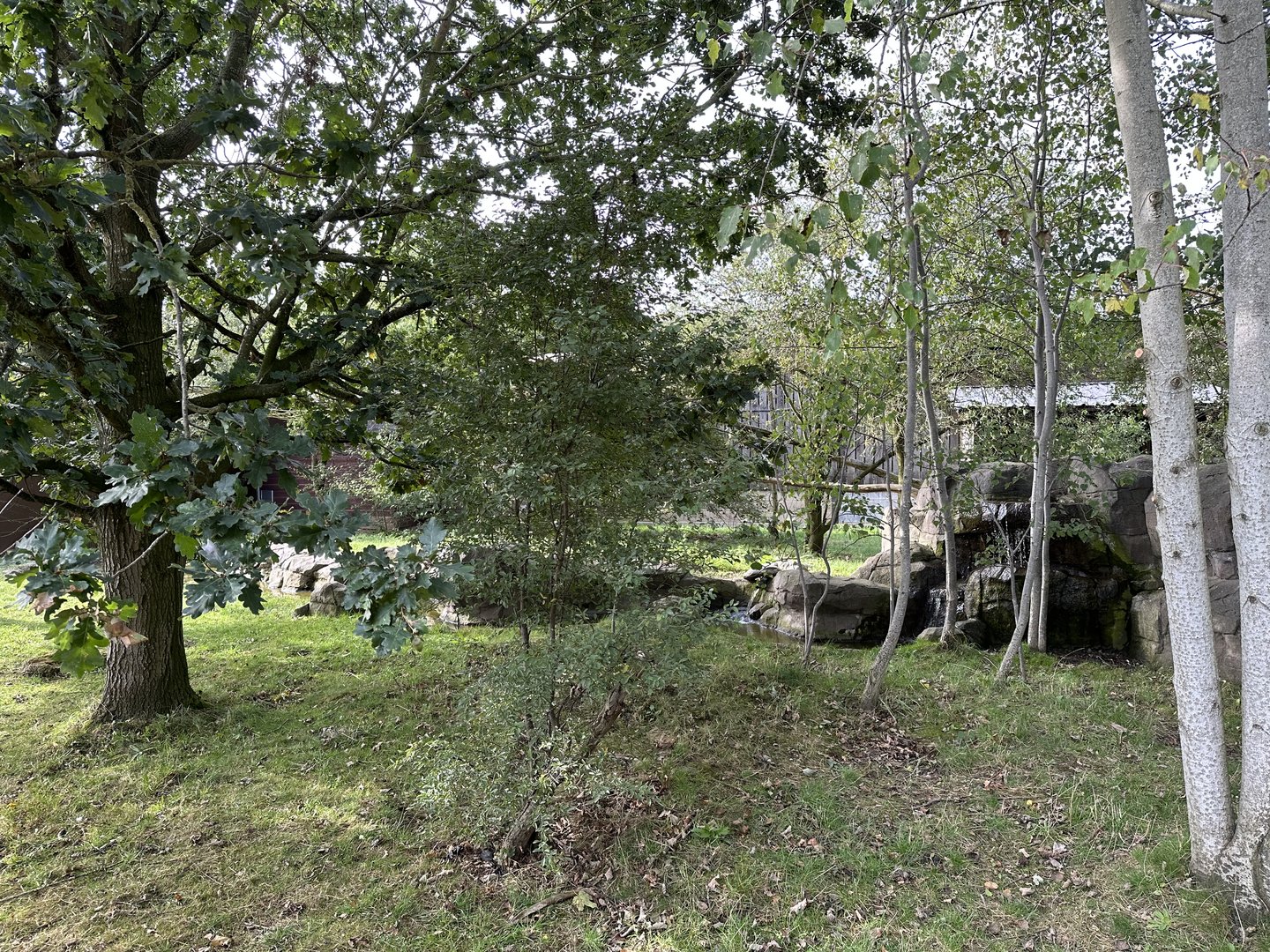 Asian Small-clawed Otter / Binturong Enclosure at Hamerton Zoo Park (October 2023)