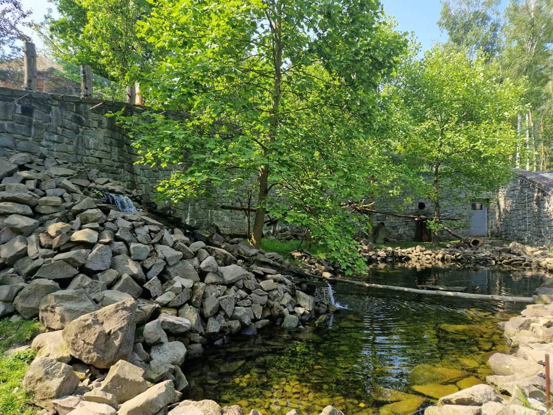 Asian Small-clawed Otter/ Binturong exhibit