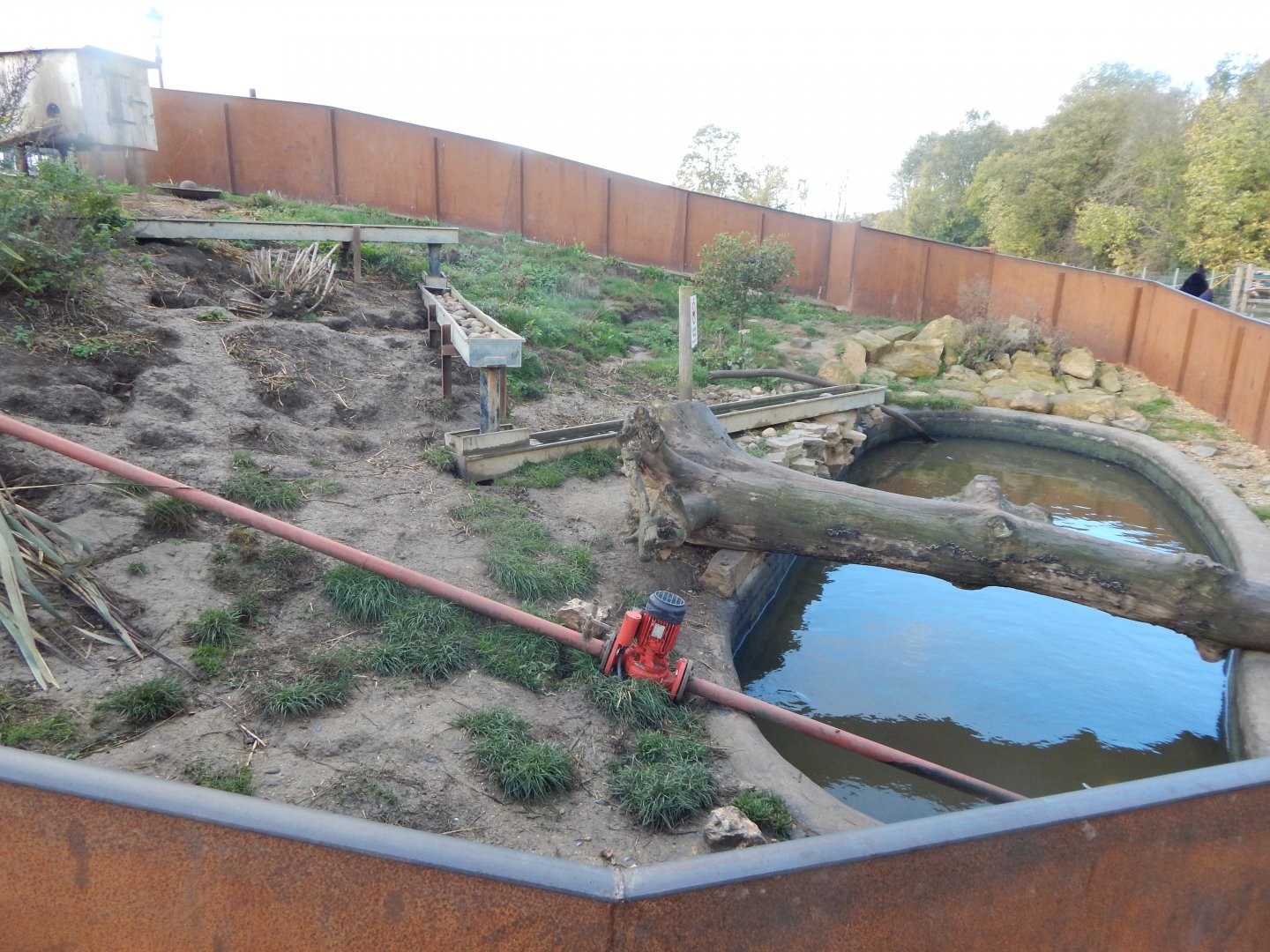 Asian small-clawed otter enclosure 021125