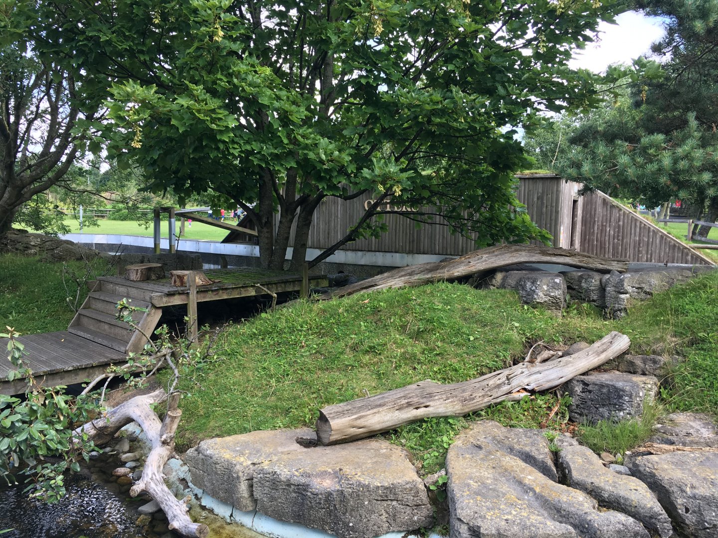 Asian small-clawed otter enclosure 040817