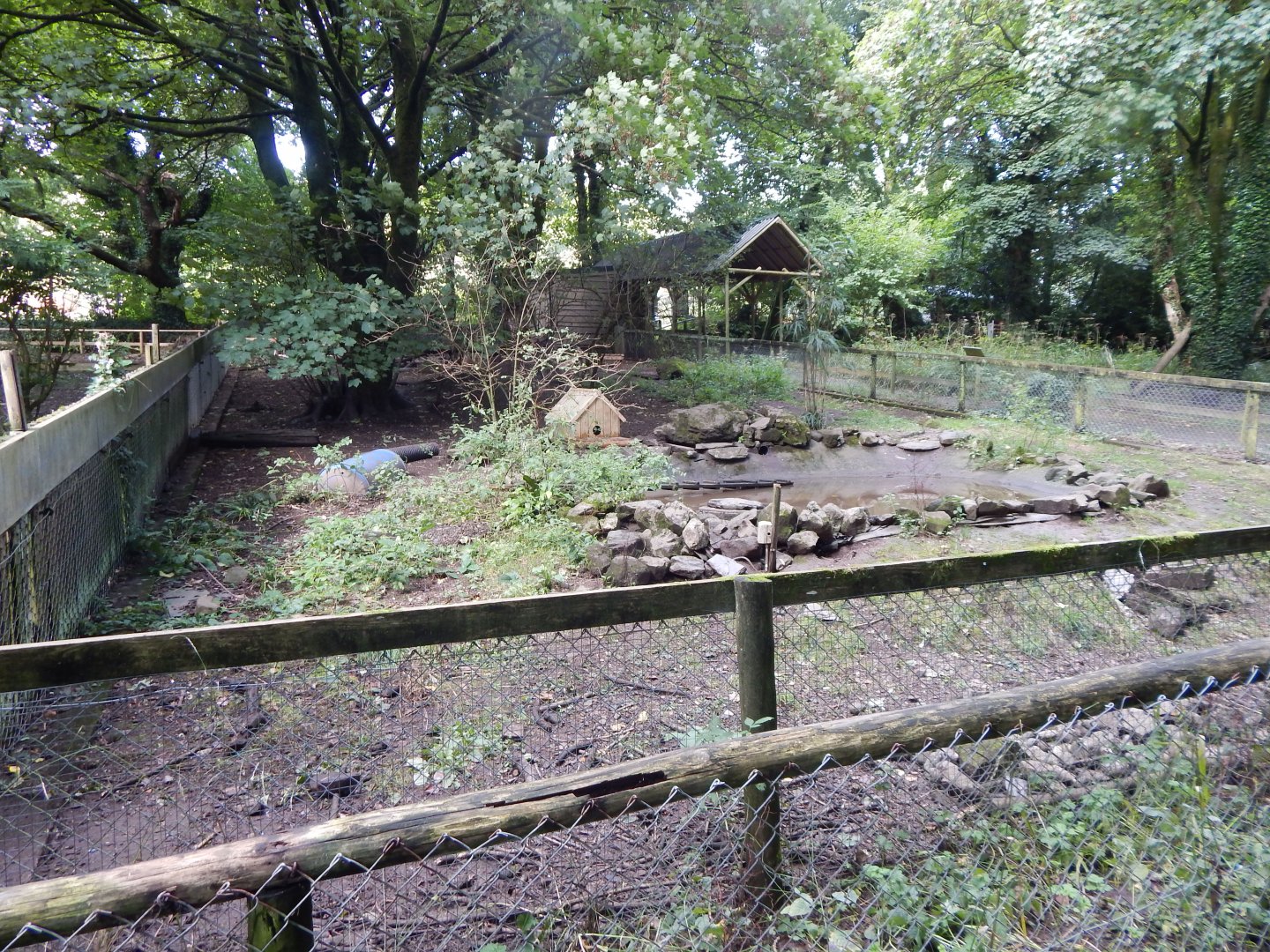 Asian small-clawed otter enclosure 050925