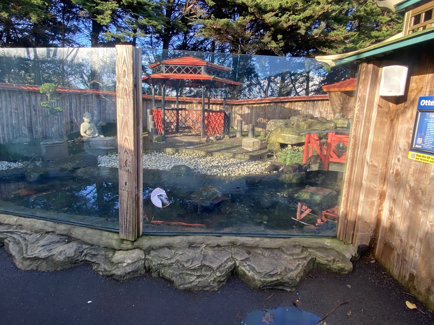 Asian small-clawed otter enclosure 060125