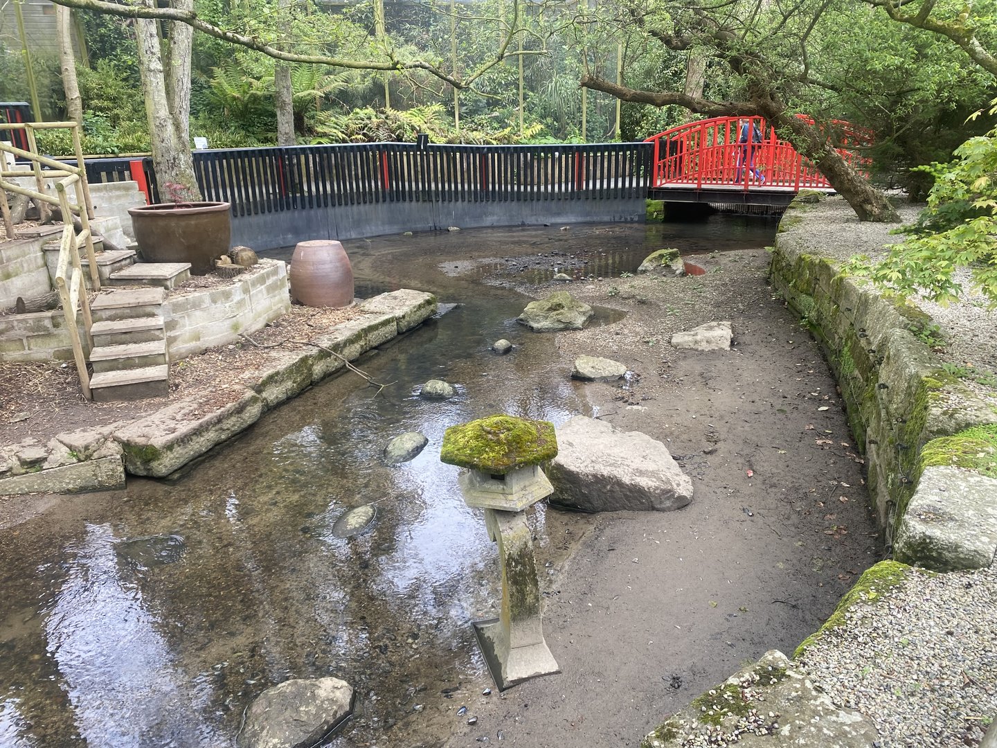 Asian small-clawed otter enclosure 060523