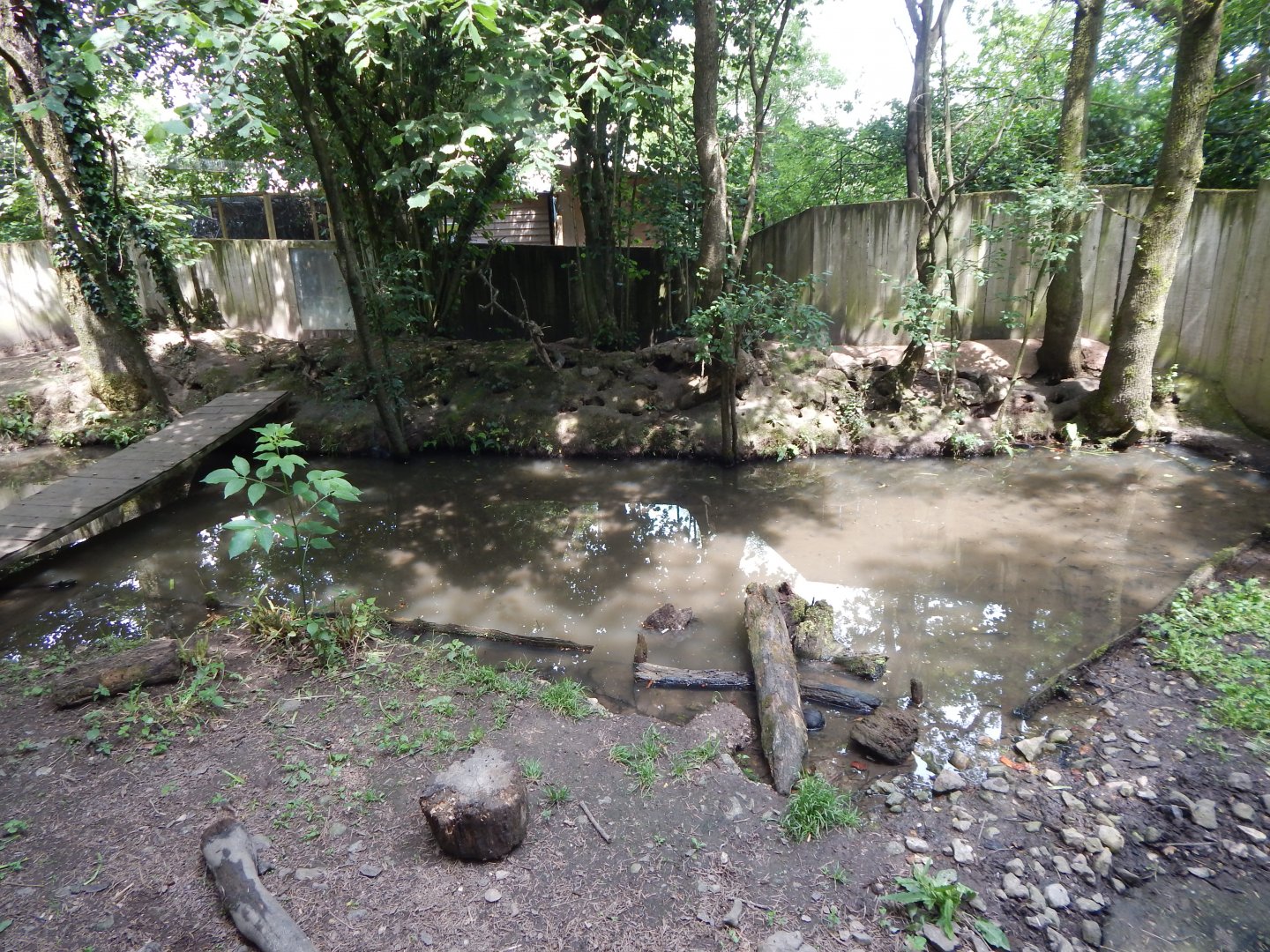 Asian small-clawed otter enclosure 060625