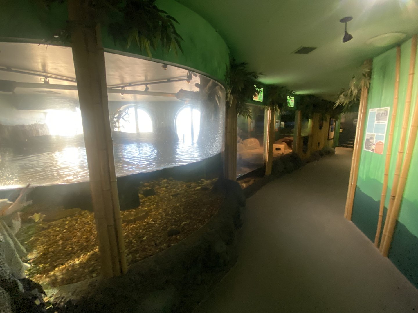 Asian small-clawed otter enclosure 070124