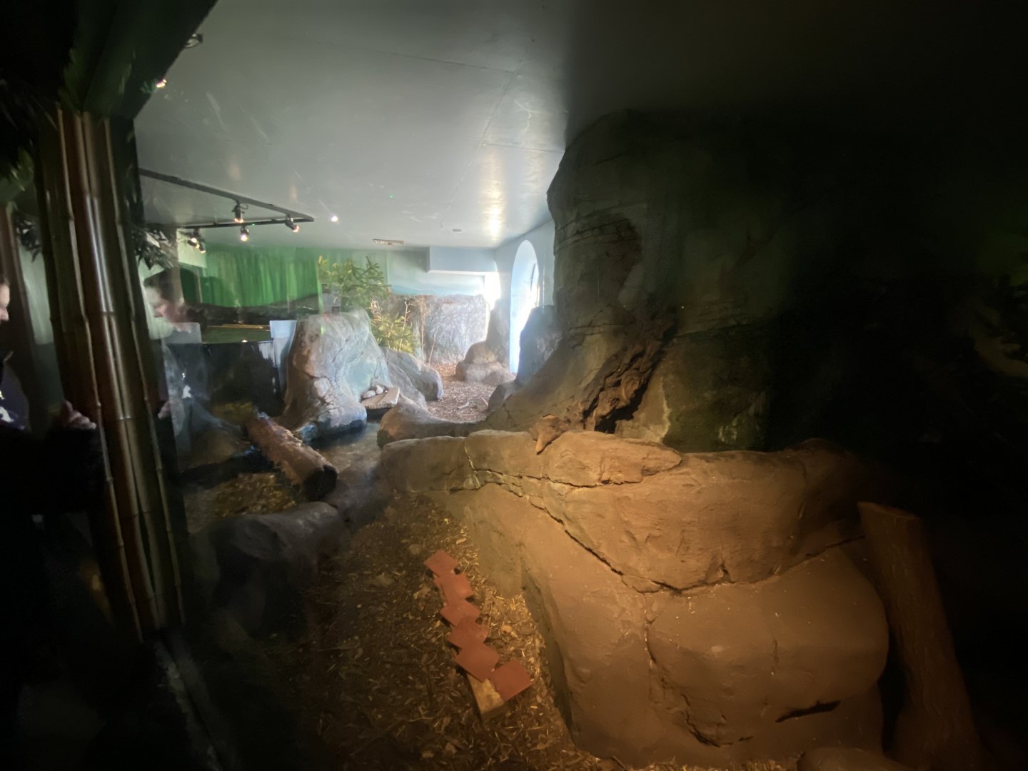 Asian small-clawed otter enclosure 070124