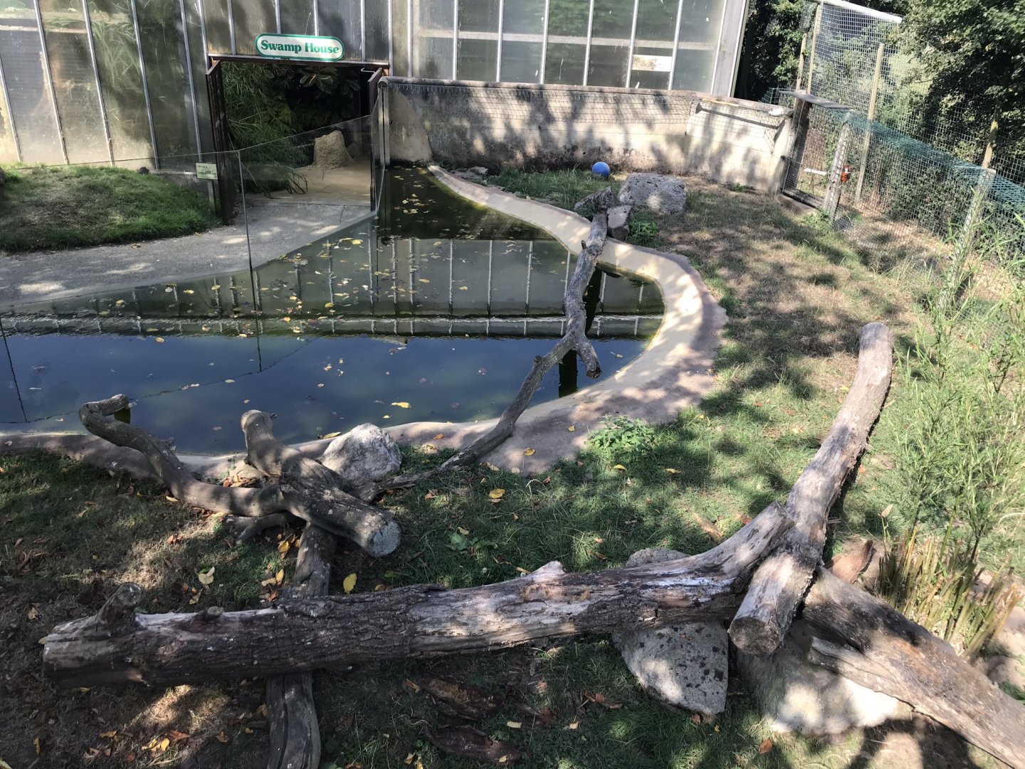 Asian small-clawed otter enclosure 070818