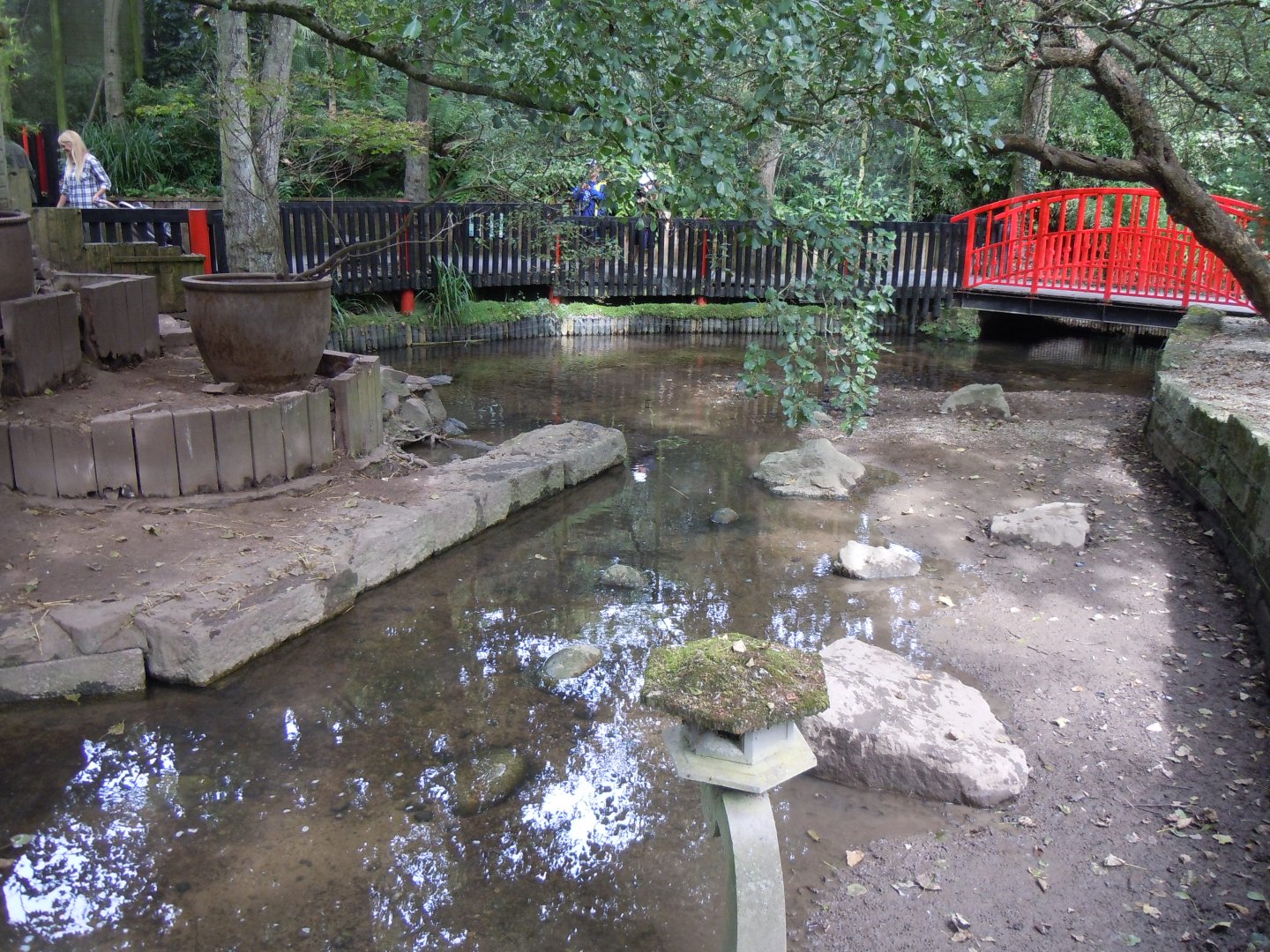 Asian small-clawed otter enclosure 070920